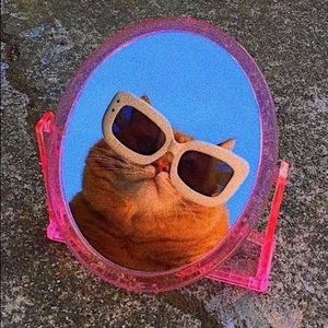 Meet your Posher, Isabella